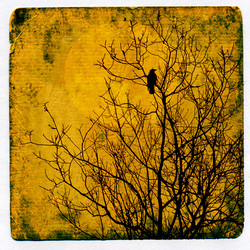 Similar image 880248