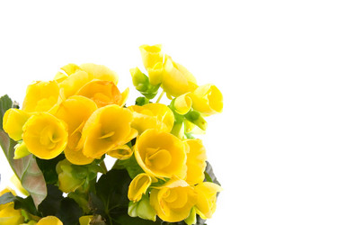 Similar image 880252