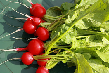 Similar image 880253