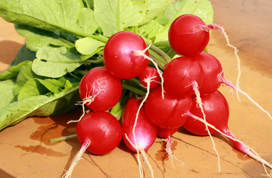 Similar image 880255