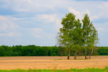 Similar image 880258