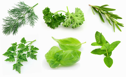 Similar image 880262