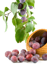 Similar image 880269