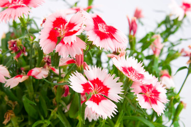 Similar image 880274