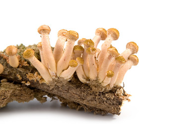 Similar image 880277