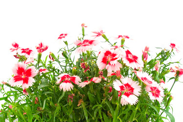 Similar image 880279