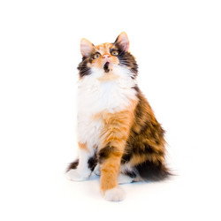 Similar image 880280