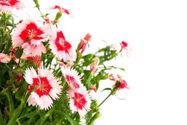 Similar image 880281