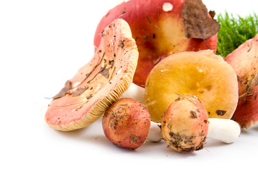 Similar image 880282