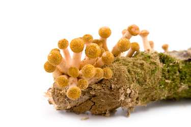 Similar image 880284