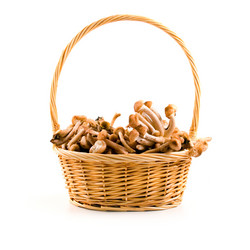 Similar image 880286