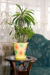 Similar image 880285