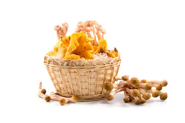 Similar image 880287