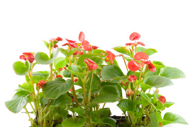 Similar image 880289