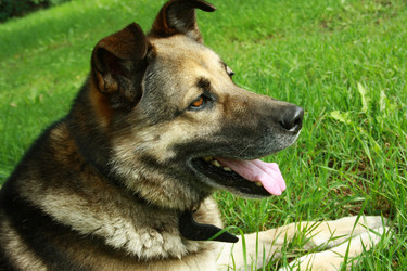 Similar image 880292