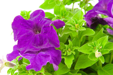 Similar image 880294