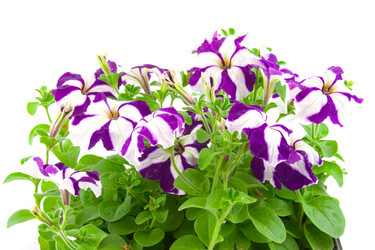 Similar image 880299