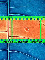 Similar image 880304