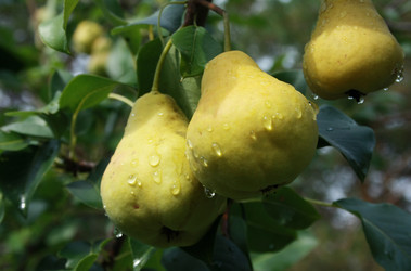 Similar image 880305