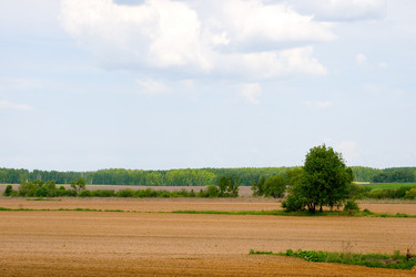 Similar image 880309