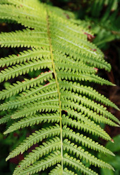 Similar image 880318