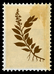 Similar image 880320