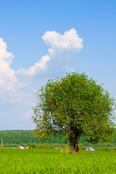 Similar image 880332