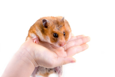 Similar image 880344