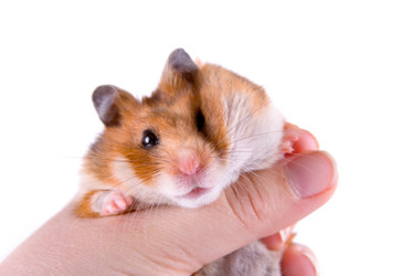 Similar image 880345