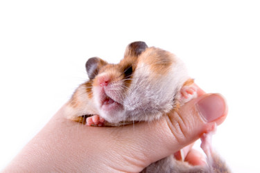 Similar image 880347