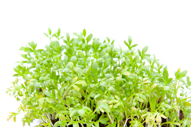 Similar image 880386