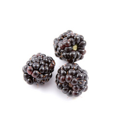 Similar image 880389