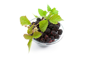 Similar image 880391