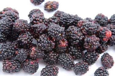 Similar image 880393