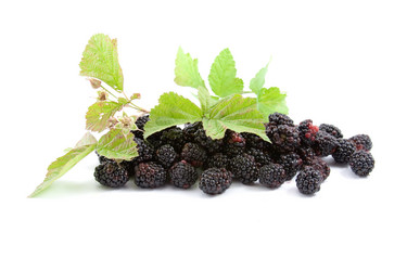 Similar image 880397