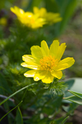 Similar image 880434