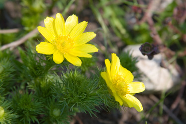 Similar image 880435