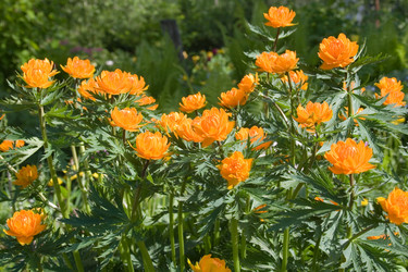 Similar image 880438