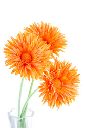 Similar image 880441