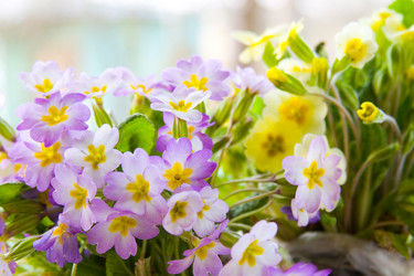 Similar image 880442