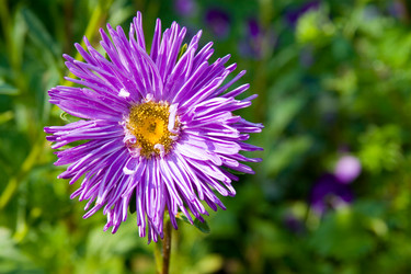 Similar image 880443