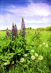 Similar image 880474