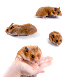 Similar image 880475