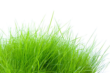 Similar image 880479