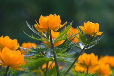 Similar image 880498