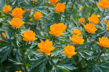 Similar image 880499