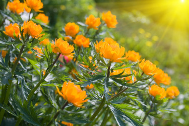 Similar image 880501