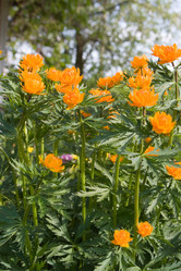 Similar image 880502