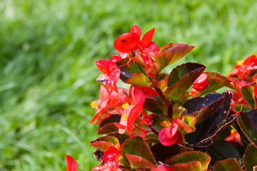 Similar image 880504