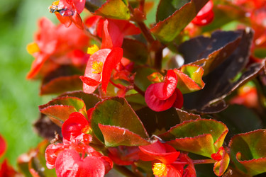 Similar image 880506